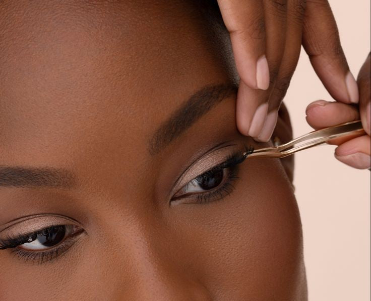Lash Talk