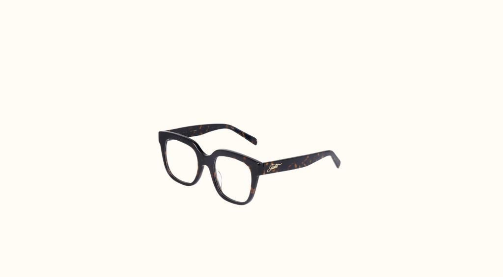 Silent Power Tortoise Frame