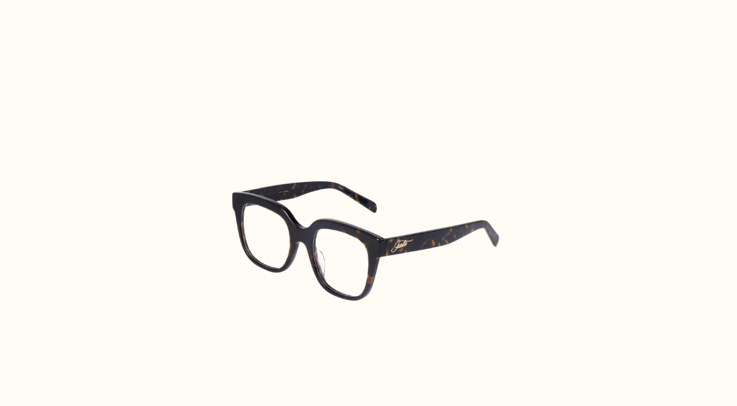 Silent Power Tortoise Frame