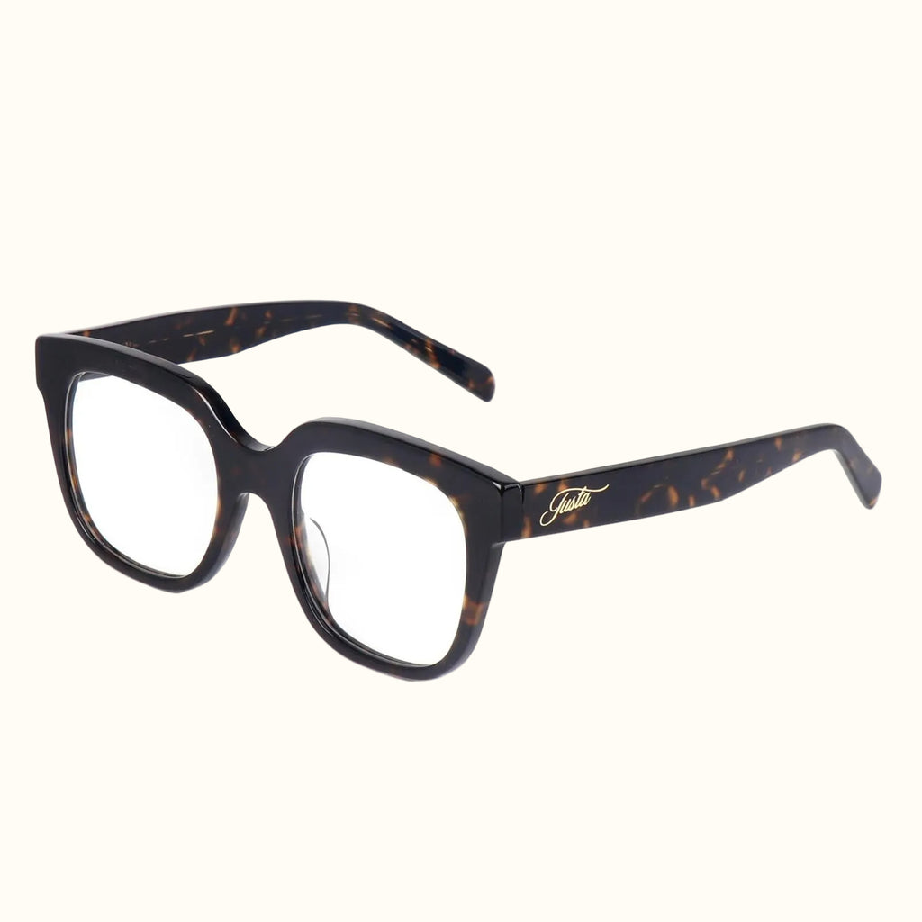 Silent Power Tortoise Frame