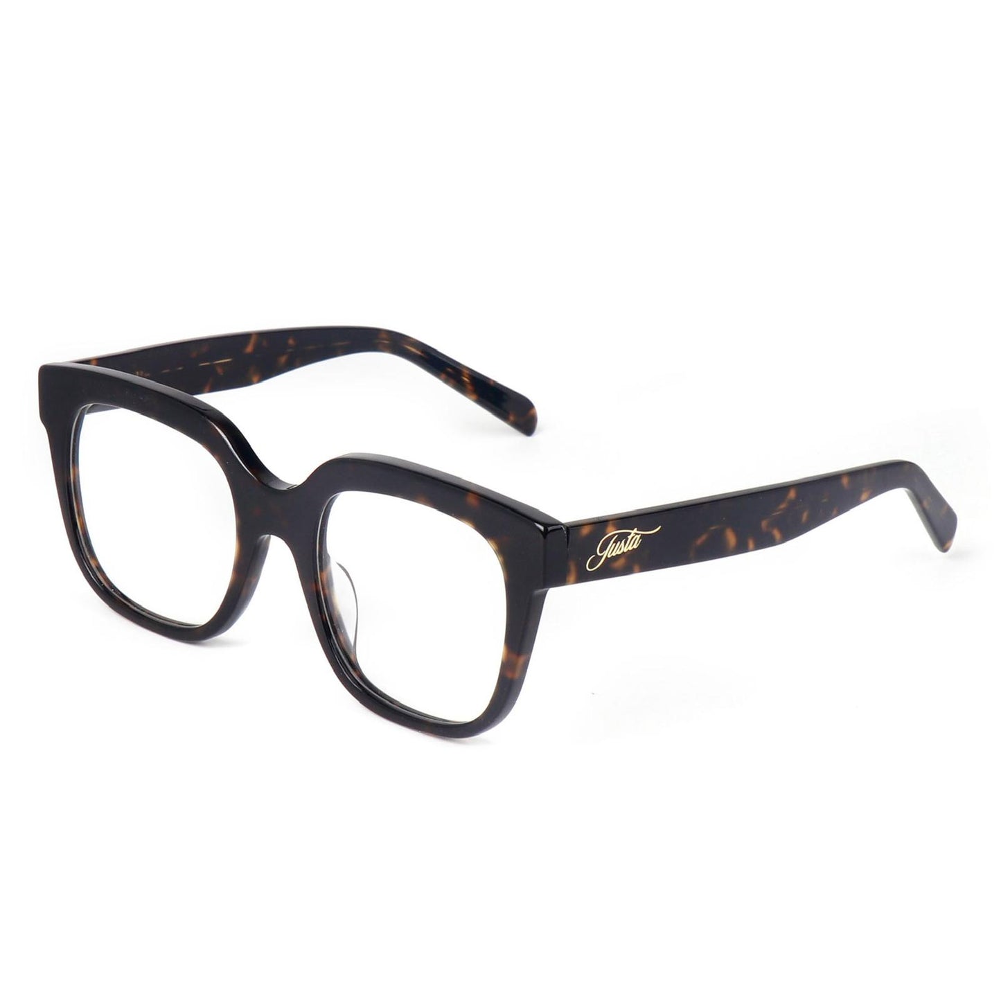 Tortoiseshell Optical Frame