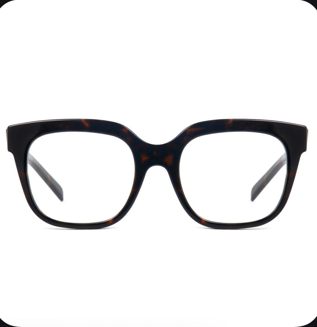 Silent Power Tortoise Frame